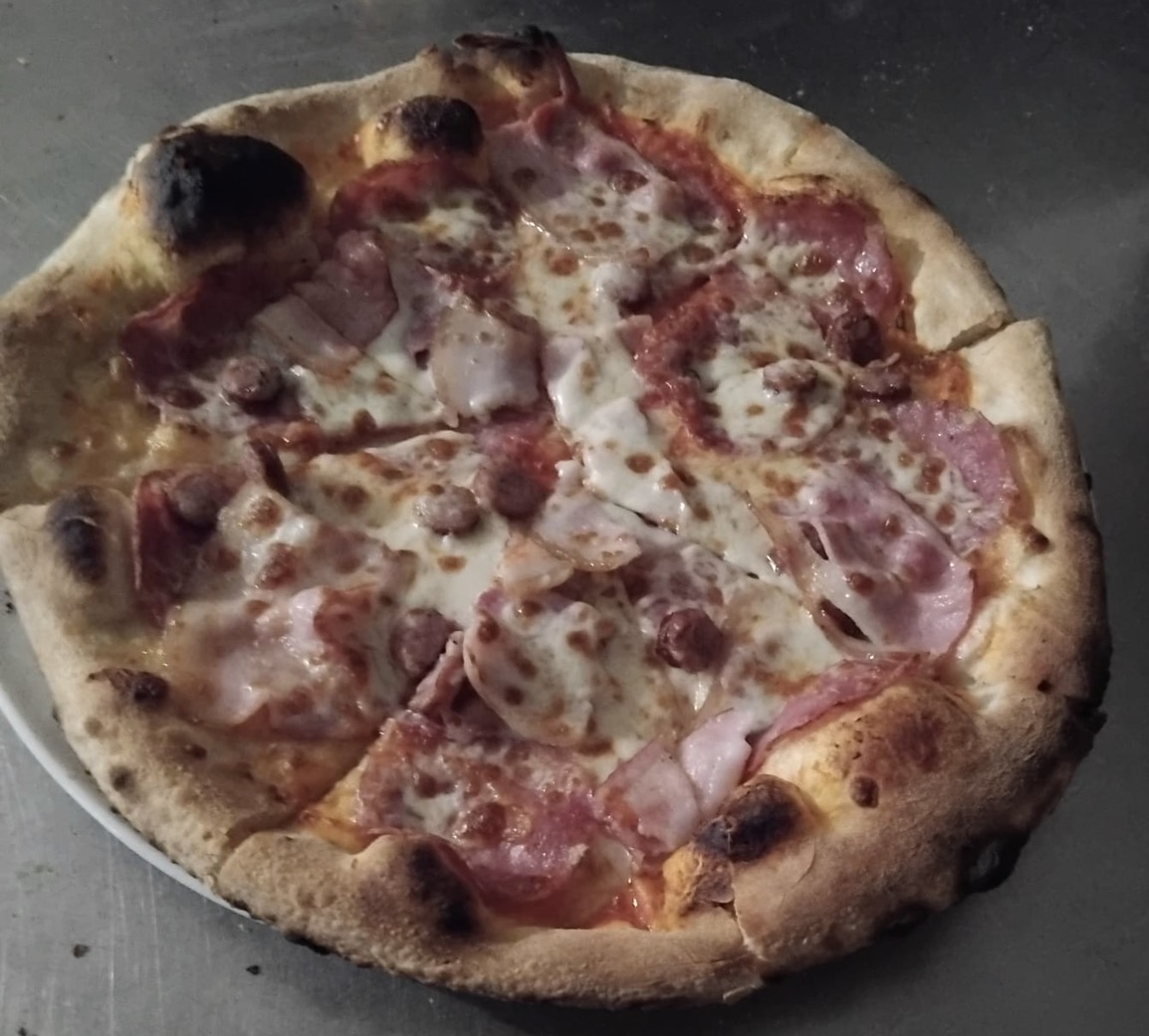 Carnivora